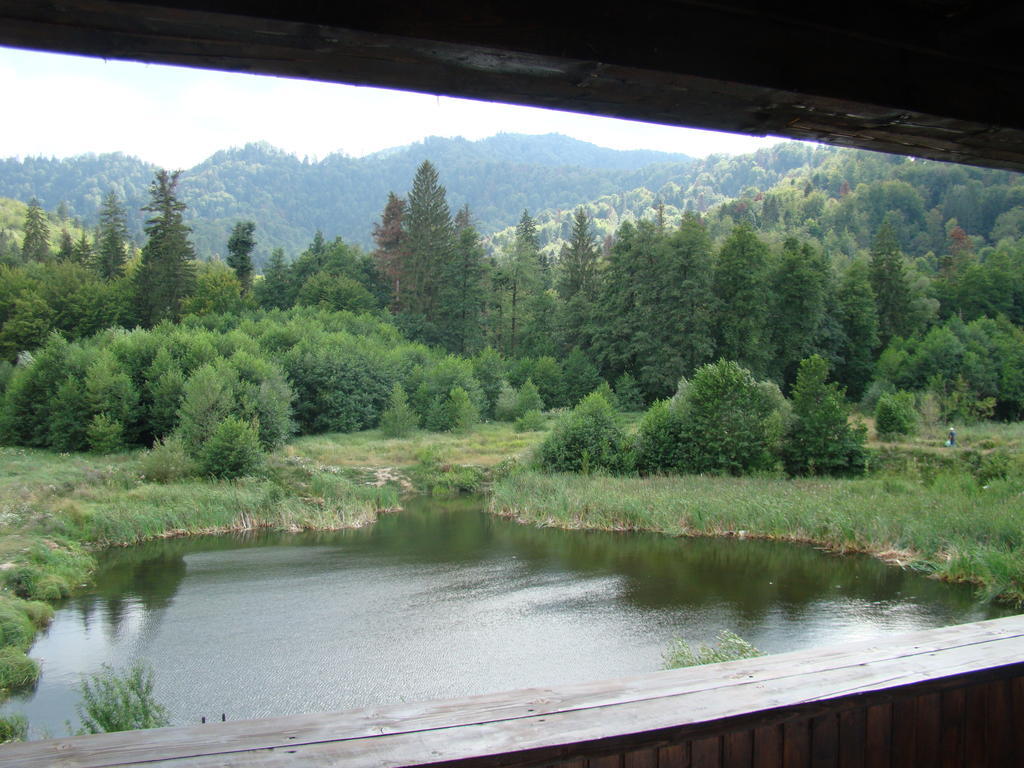 Dumbrava Soarelui Hotel Brasov Exterior photo