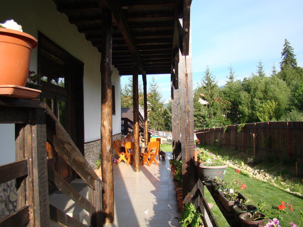 Dumbrava Soarelui Hotel Brasov Exterior photo