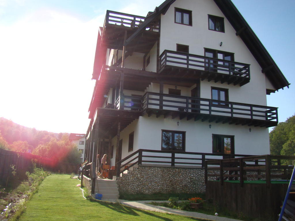 Dumbrava Soarelui Hotel Brasov Exterior photo