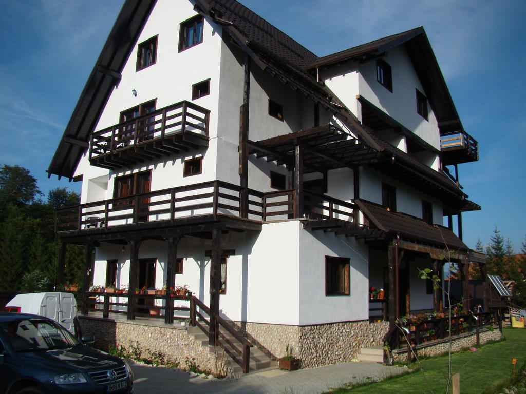 Dumbrava Soarelui Hotel Brasov Exterior photo